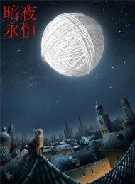 《暗夜永恒》
