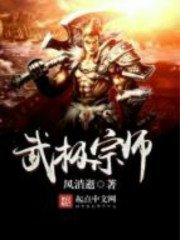 《武极宗师》