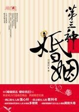 四个女人的越轨错位婚恋：第三种婚姻（出书版）