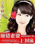 抱错老婆嫁对郎/抱错老婆上对床