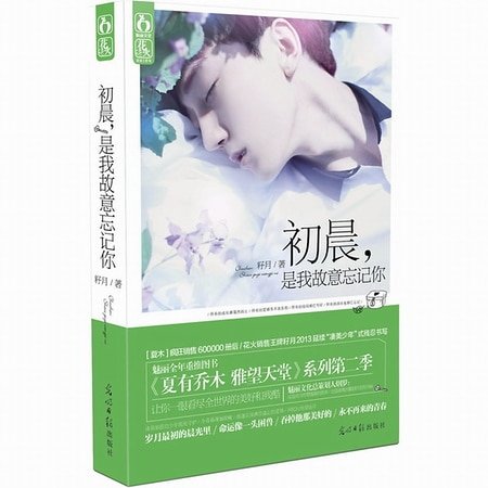 《初晨,是我故意忘记你(出书版)》