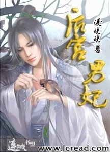 《后宫男妃》