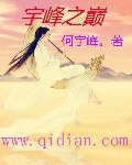 《宇峰之巅》