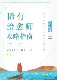 《稀有治愈师攻略指南》