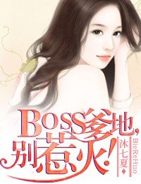 BOSS爹地，别惹火