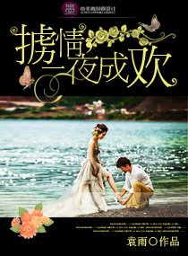 《掳情,—夜成欢》