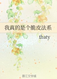《我真的是个脆皮法系》