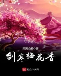 《剑寒梅花香》