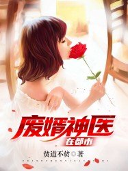 《废婿神医在都市》