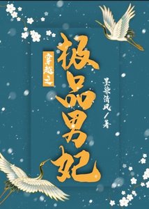 《穿越之极品男妃》