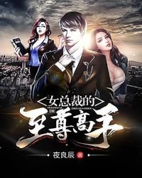 女总裁的至尊高手