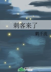 《刺客来了》