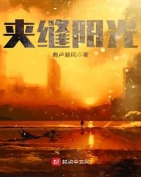 夹缝阳光