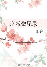 京城微见录