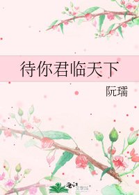 《待你君临天下》