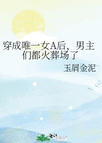 《穿成唯一女A后,男主们都火葬场了》