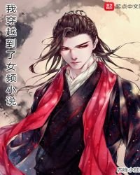 《我穿越到了女频》