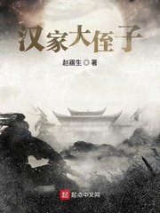 《汉家大侄子》