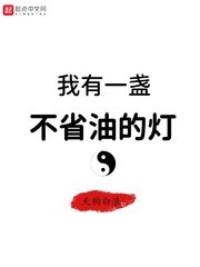 《我有一盏不省油的灯》