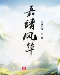 《嘉靖风华》
