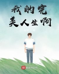 《我的完美人生啊》