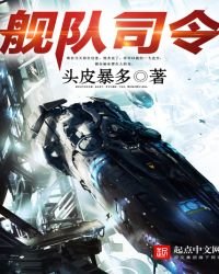 《舰队司令》