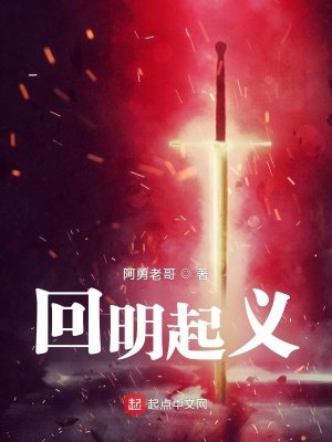 《回明起义》