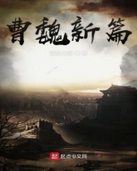 曹魏新篇