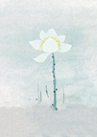 《穿成美强惨的白莲师尊》
