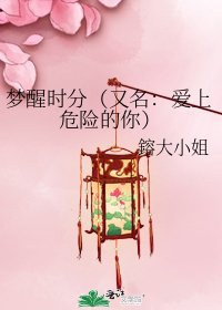 《梦醒时分(又名:爱上危险的你)》