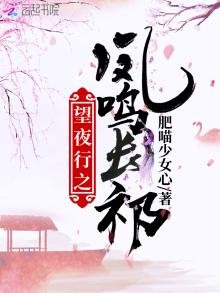 望夜行之凤鸣长祁