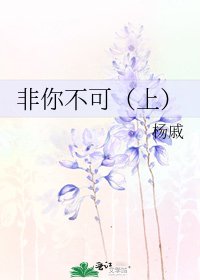 非你不可（上）