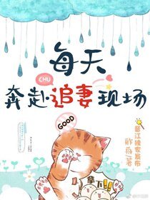 每天奔赴追妻现场