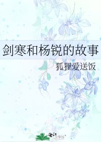 《剑寒和杨锐的故事》