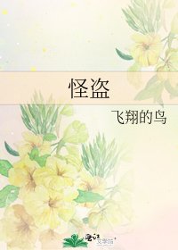 《怪盗》