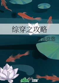 《综穿之攻略》