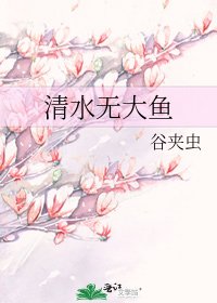 清水无大鱼