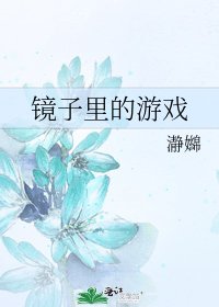 《镜子里的游戏》