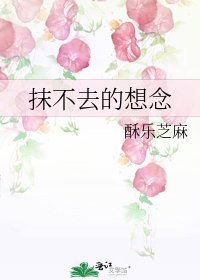 《抹不去的想念》