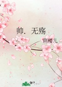 《帅.无殇》