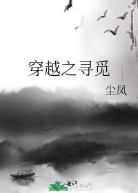 《穿越之寻觅》