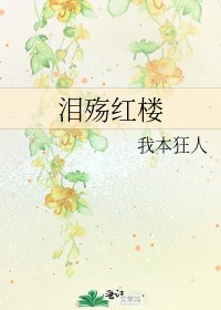 《泪殇红楼》