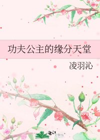 《功夫公主的缘分天堂》