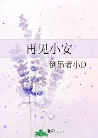 《再见小安》