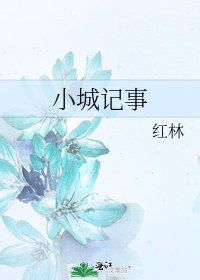 《小城记事》