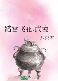 《踏雪飞花.武境》