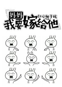 《妈妈,我要嫁给他》