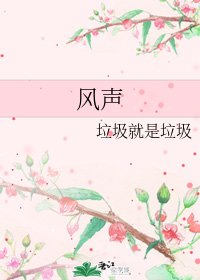 风声