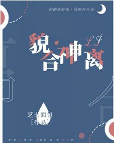 《貌合神离》