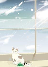 《霸道总裁的幸福生活》